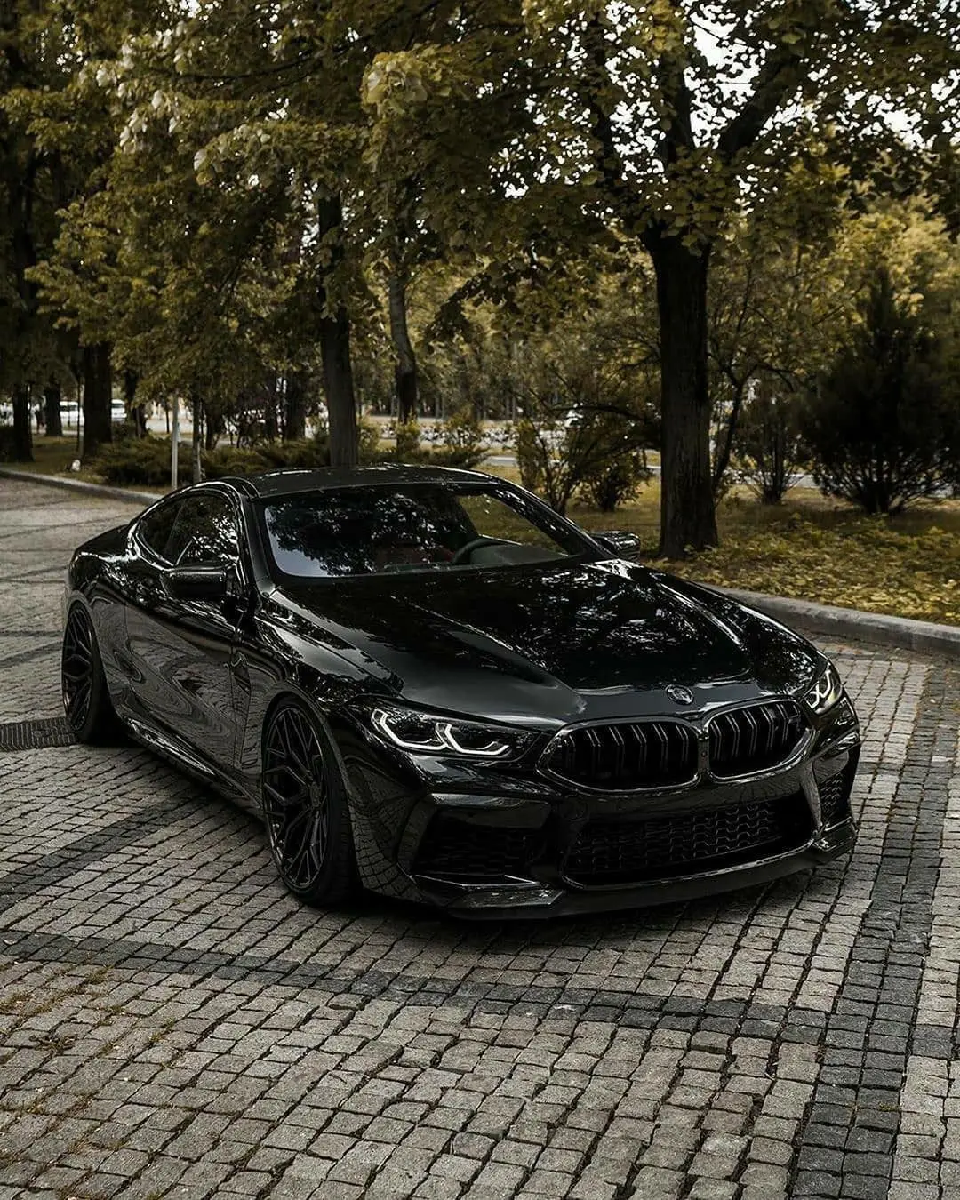 2022 BMW M8