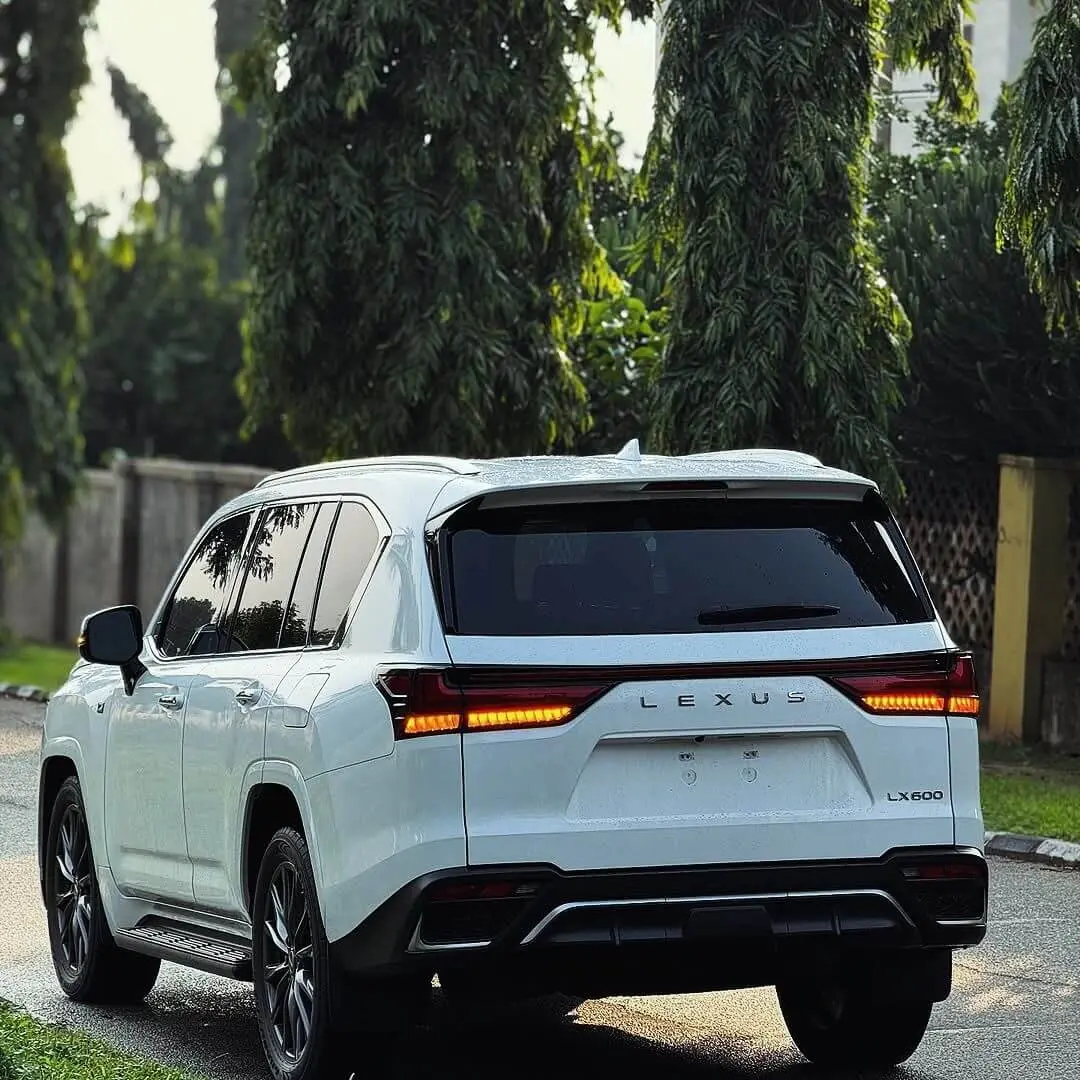2025 Lexus LX 600 rear view