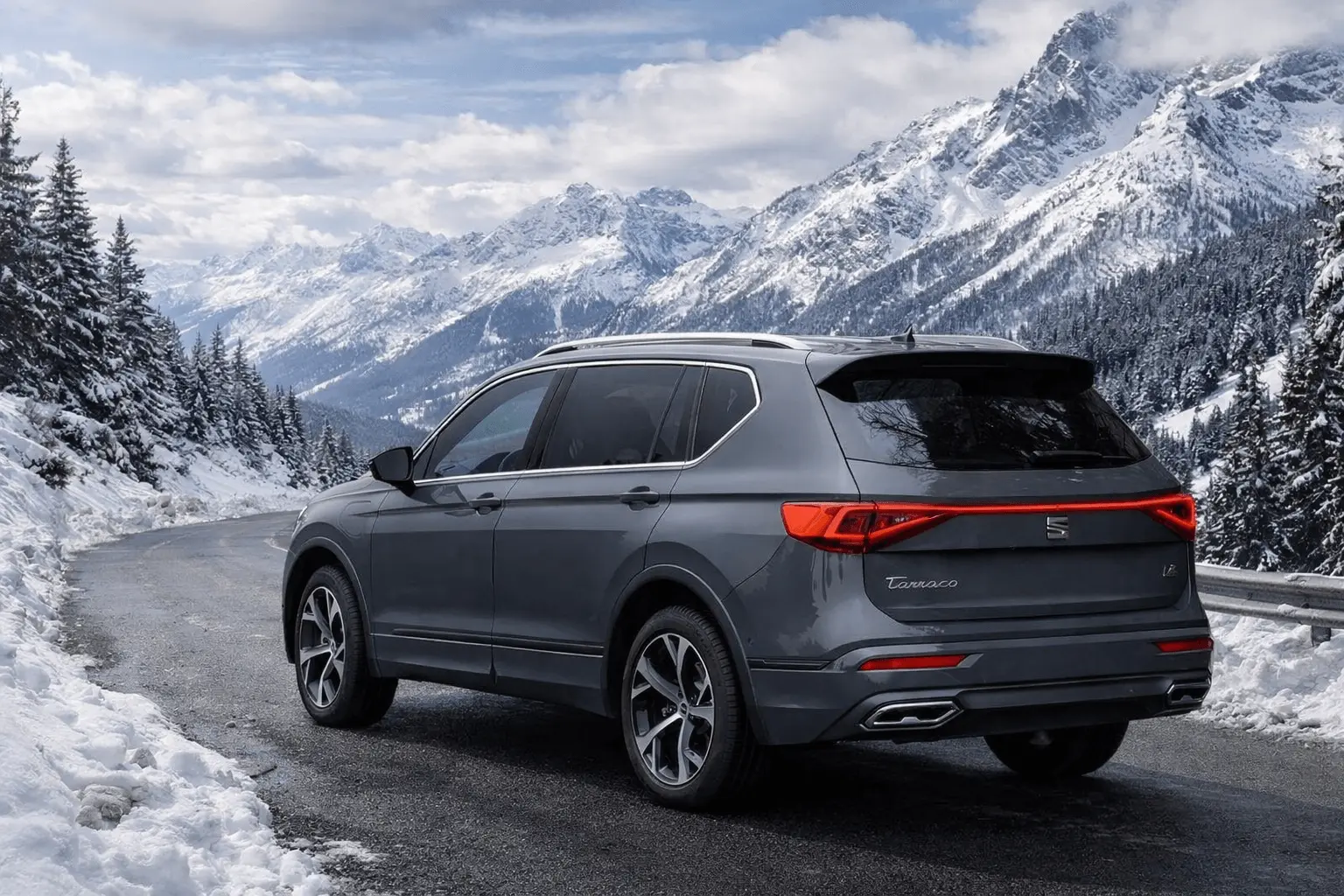 2022 SEAT Tarraco rear view